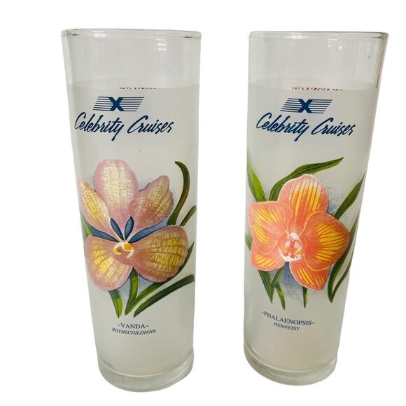 Vintage Celebrity Cruises Floral Frosted Cocktail Glasses - Set of 2 - Picture 1 of 13
